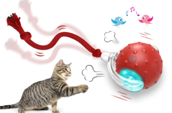 10 Reasons the Interactive Cat Toy Ball is the Best Gift for Your Indoor Cat